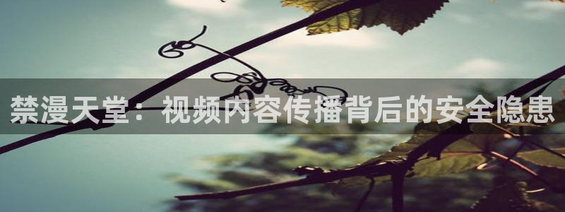 omofun最新下载：禁漫天堂：视频内容传播背后的安全隐患