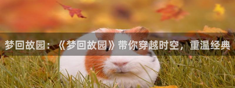 omofun动漫网,omofun弹幕网：梦回故园：《梦回故园》带你穿越时空，重温经典