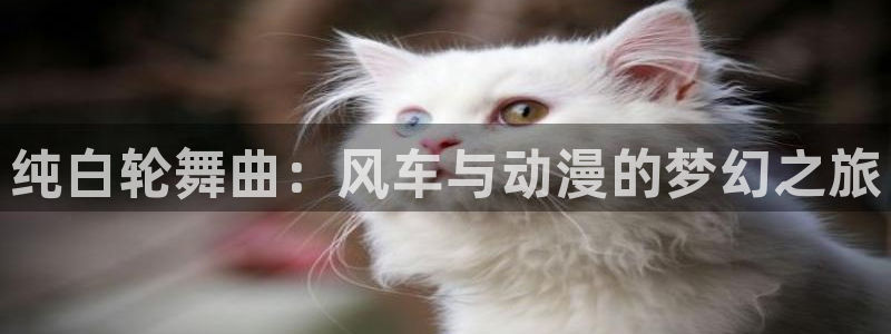 omofun轻量版：纯白轮舞曲：风车与动漫的梦幻之旅