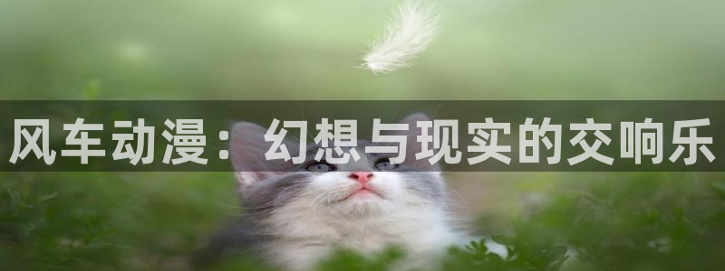 omofun自签