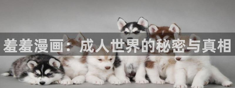 omofun下载ios