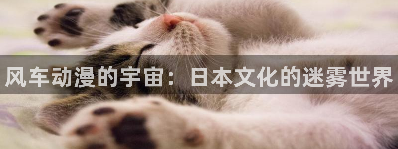 omofun下载ios