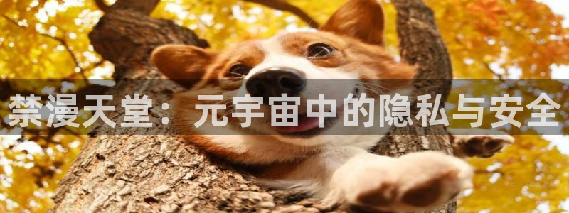omofun动漫官网下载：禁漫天堂：元宇宙中的隐私与安全