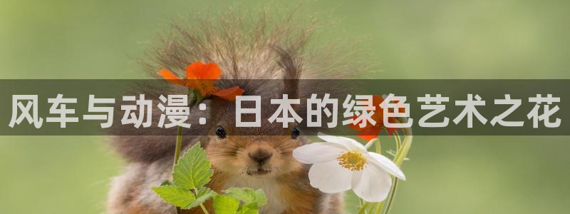omofun动漫官网入口安卓：风车与动漫：日本的绿色艺术之花