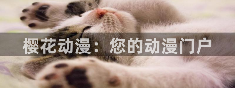 omofun动画网：樱花动漫：您的动漫门户