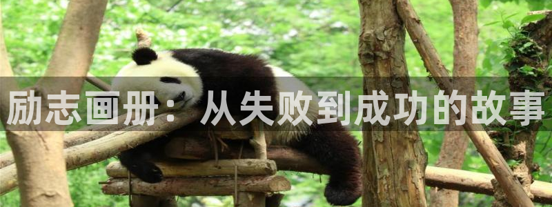 omofun动漫app官网下载：励志画册：从失败到成功的故事