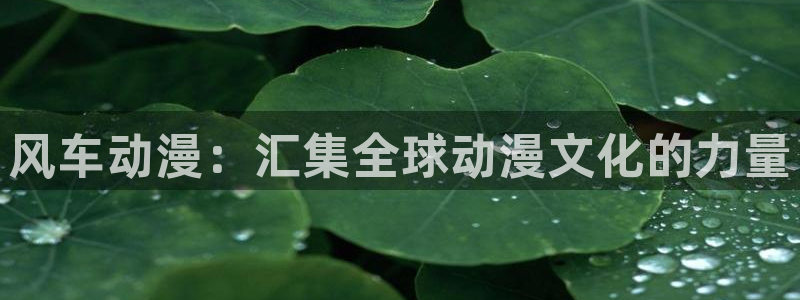 omofun安卓：风车动漫：汇集全球动漫文化的力量