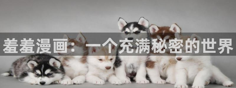 omofun电脑版