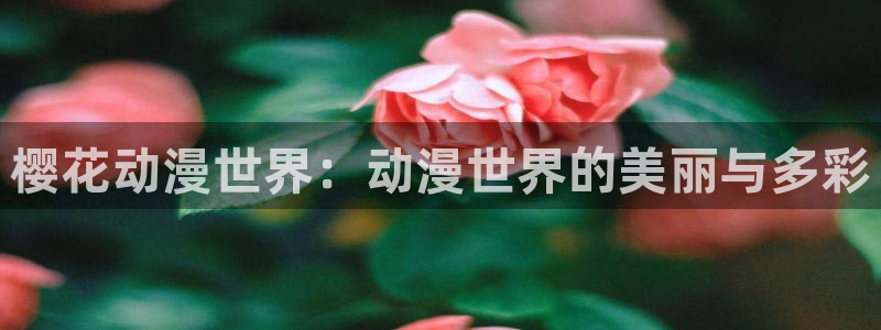 omofun官方下载