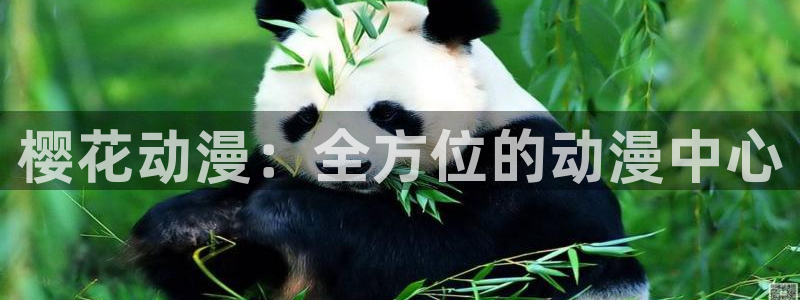 omofun老版本