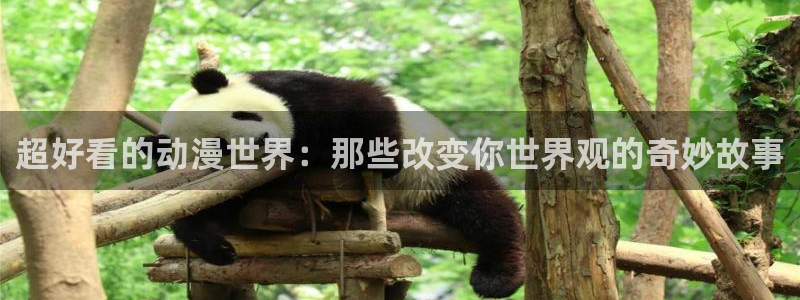 樱花动漫正版入口下载