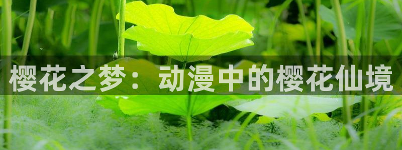 omofun网页版入口处