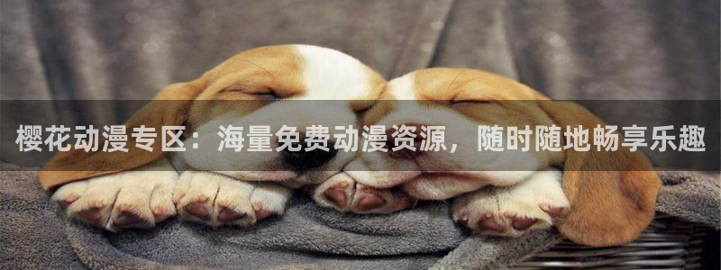 omofun 比较好用